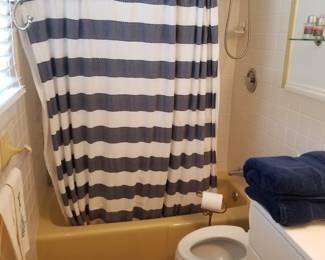 Shower curtain