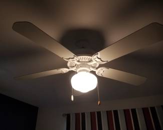 Illuminated ceiling fan