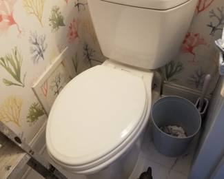 Updated rear flush commode
