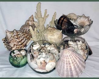 More Shells