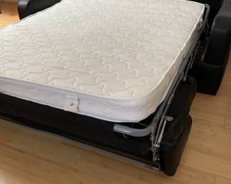 Pull out mattress-great for guest