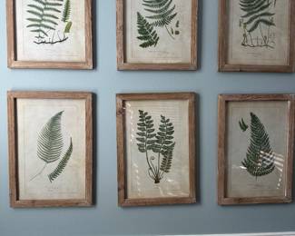 Set of 8 leaf pictures