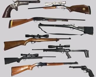 Fish Auction Guns
