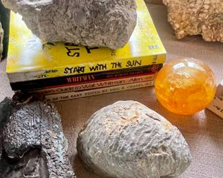 MORE FOSSILS