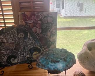 POLISHED ORTHOCERAS & AMMONITE FOSSIL