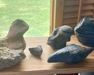 FOSSILIZED SHARK TOOTH EMBEDDED IN ROCK, MORE FOSSILS