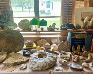 MAJOR FOSSIL COLLECTION