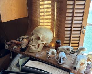 SKULLS
