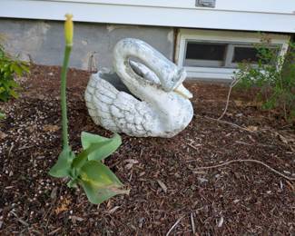 planter