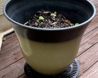 Plastic Planter Pot