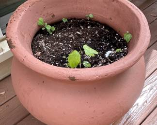 Planter Pot