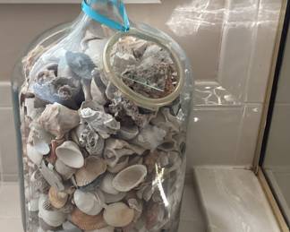 Jar of Shells