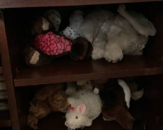 Book Shelf