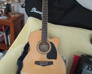 Guitar