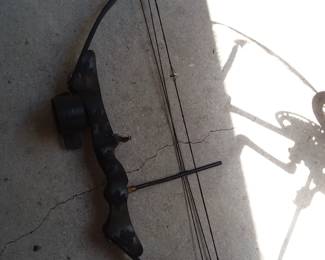 Bow (we have a box of arrows too)