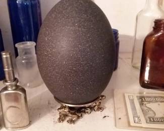 Emu egg