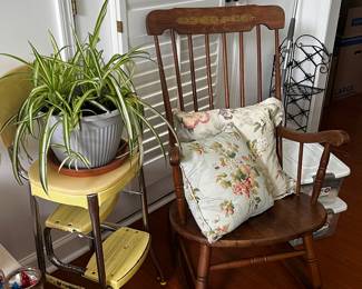 Spider plant
