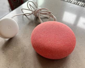 Google Nest Speaker
