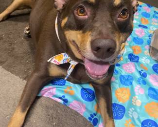 Zelda is Happy you love her Grandma's Estate Sales!