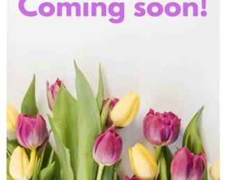 More Images Coming soon