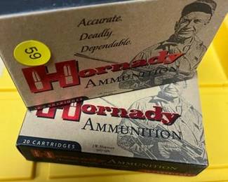 40 ROUNDS OF 303 BRITISH 150 GR AMMO