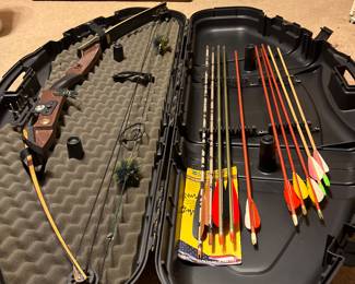 Bow and Arrows and Case