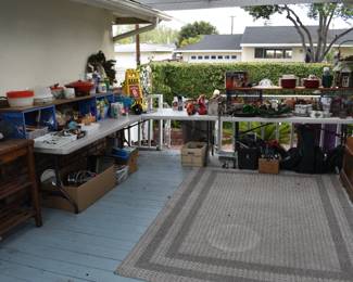 Back Patio Overview