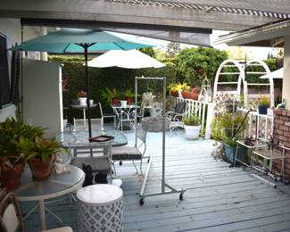 Back Patio Overview