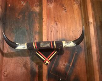Texas Longhorn Cattle Horn