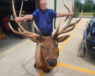 TWO HUGE ELK!
