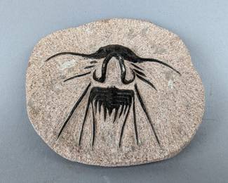 Dicranurus Trilobite Fossil Plate, 4.25" Wide