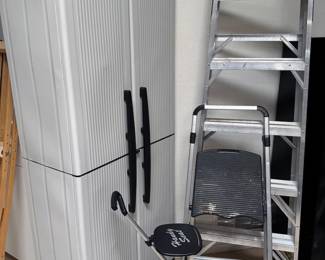 Storage cabinet, ladders