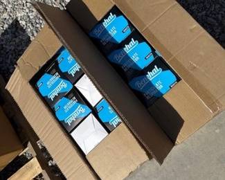 2546 Benehal Particulate Respirators