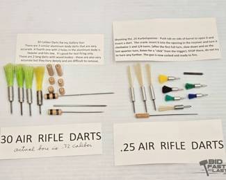 2024 Darts for Air Rifle