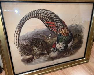 Pheasant Artwork