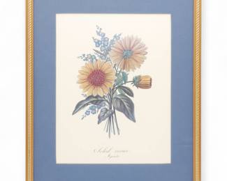 Framed Botanical Print of “Soleil Vivace – Myosotis” Flowers