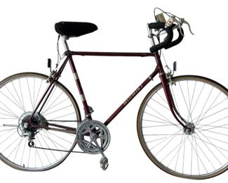 Nishiki Road Bicycle
