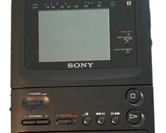 Sony Video Walkman