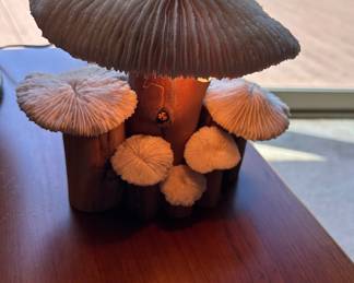 Vintage Coral and wood mushroom light