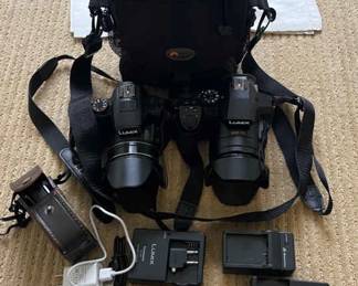 Panasonic Lumix Cameras 2, batteries and light meter
