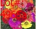 4965a result