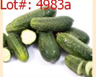 4983a result
