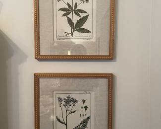 More botanical prints
