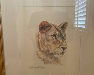 Jordan Wormock Farmer watercolor of a lioness
