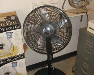 Fans