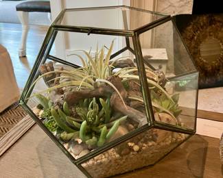 Faux plant terrarium
