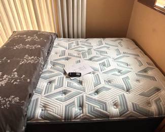 Queen size with very clean mattress and remote control