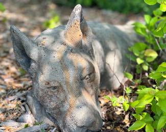Cement Dog Statue Resting