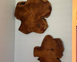 Uttermost Wood Natural Teek Wood Wall Art