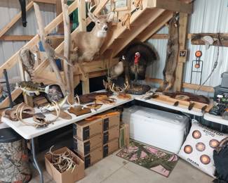 Taxidermy (deer, antlers, turkey, fish, squirrel, goose) pelts, clay pigeons, Coleman deck cooler, targets, camo trash can